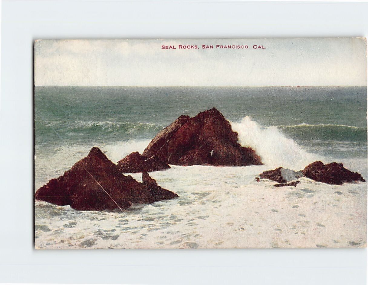 Postcard Seal Rocks, San Francisco, California