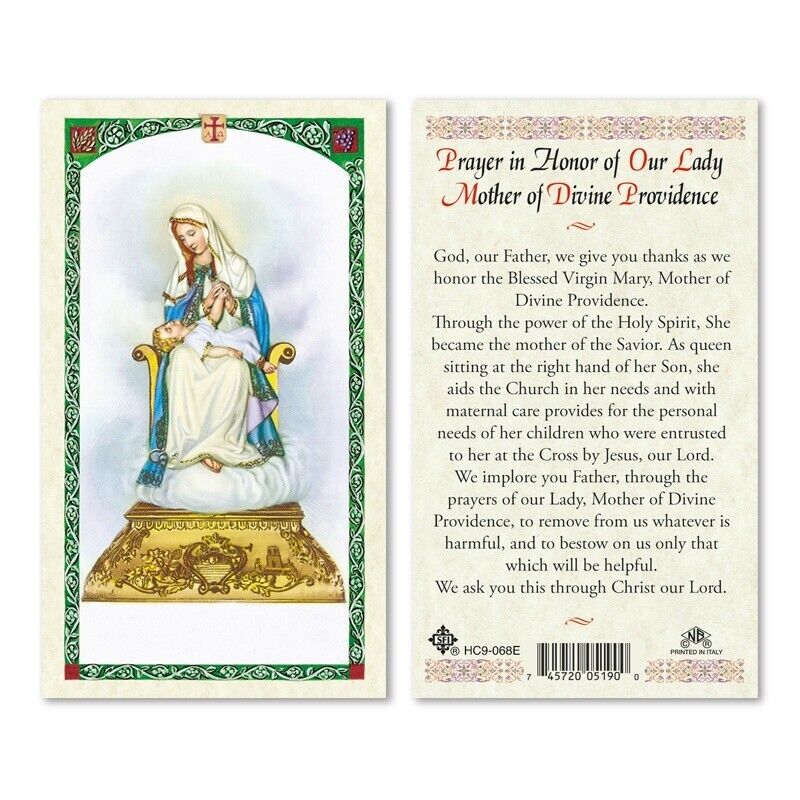 Prayer in Honor of our Lady Mother of Divine Providence Laminated Prayer Card