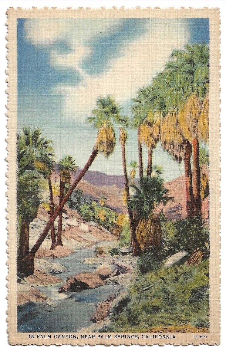 Palm Springs California c1940\'s Palm Canyon oasis, stream, Palm Trees