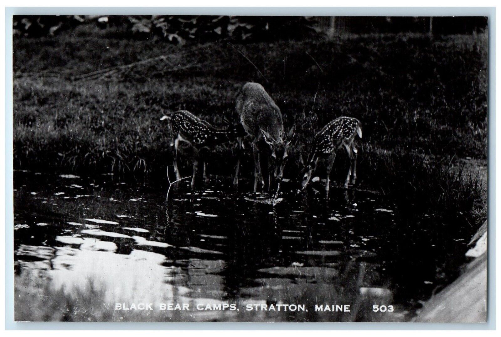 c1910\'s Black Bear Camps Stratton Maine ME Unposted Antique RPPC Photo Postcard