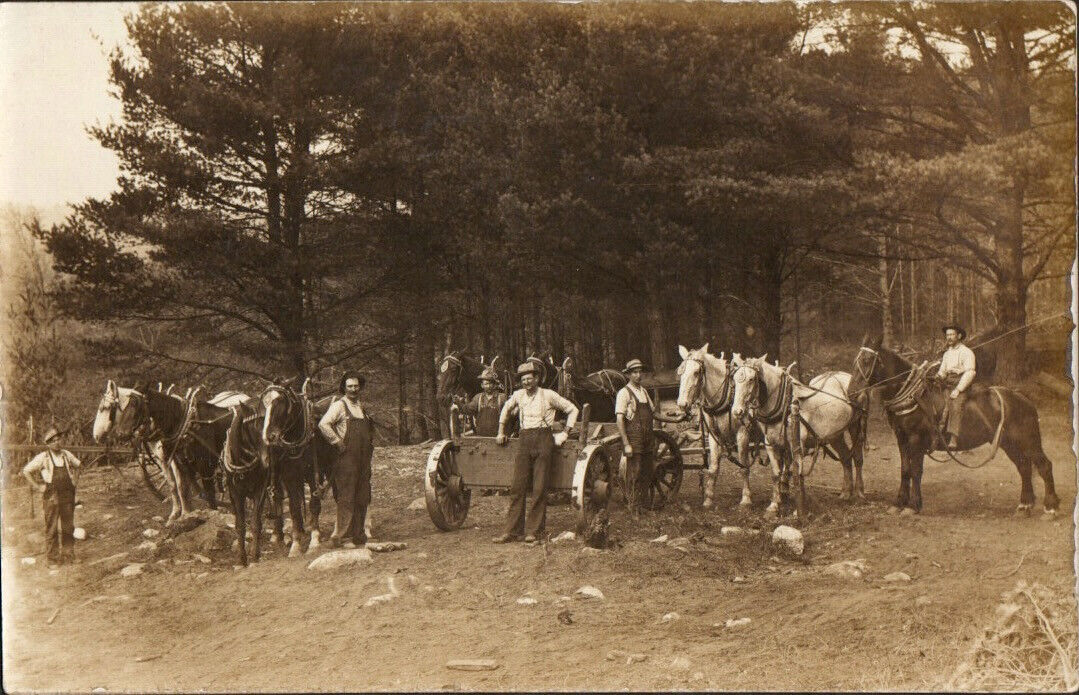 RPPC Real Photo Postcard Of Logging Camp Horse Teams