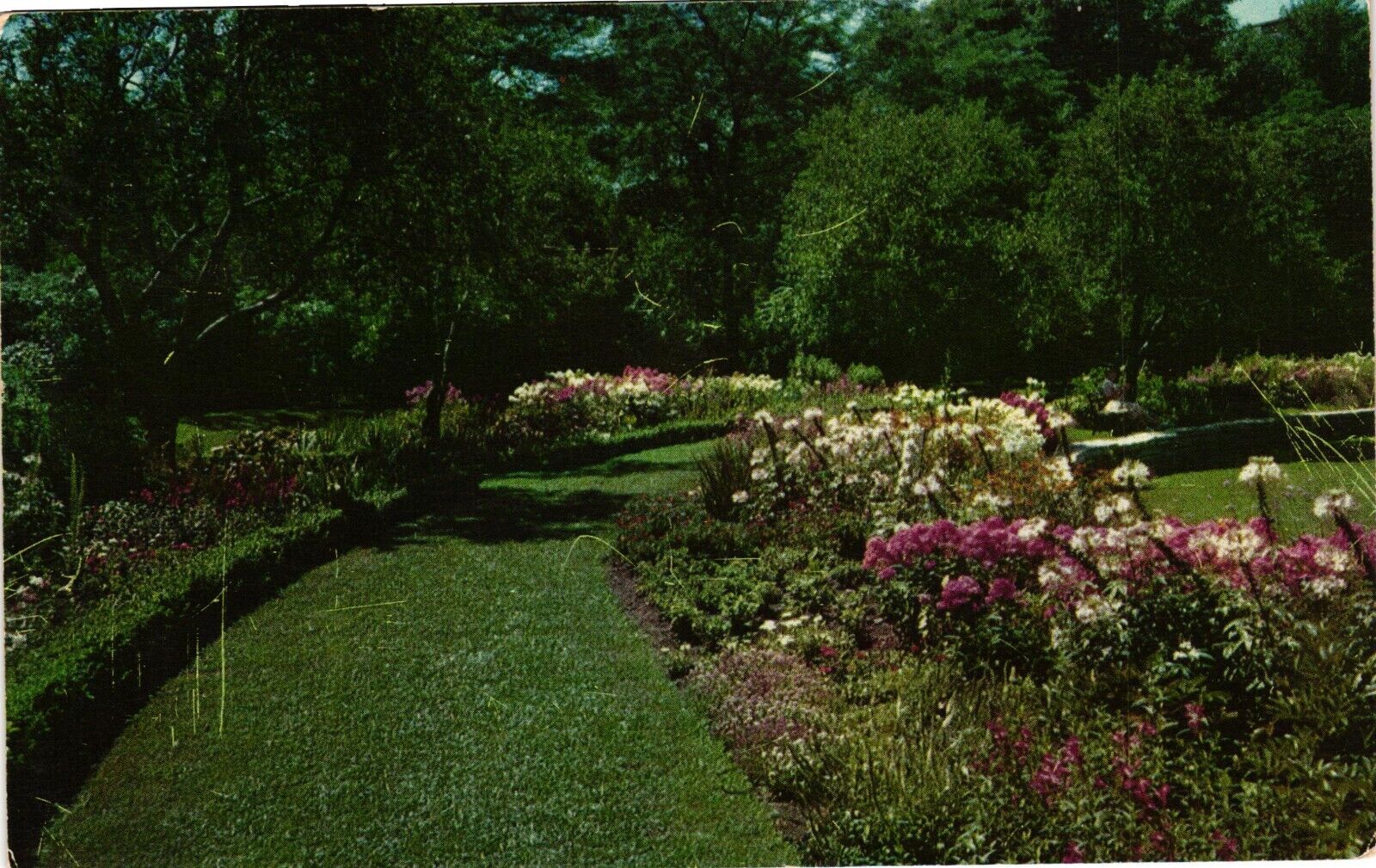 1954 Vintage Postcard Perennial Garden Jackson Park Chicago IL Posted