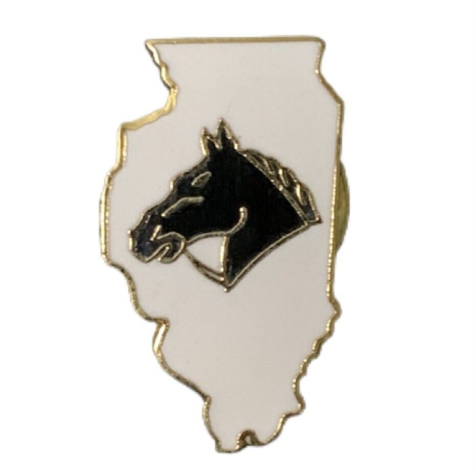 Vintage Illinois Horse Travel Souvenir Pin