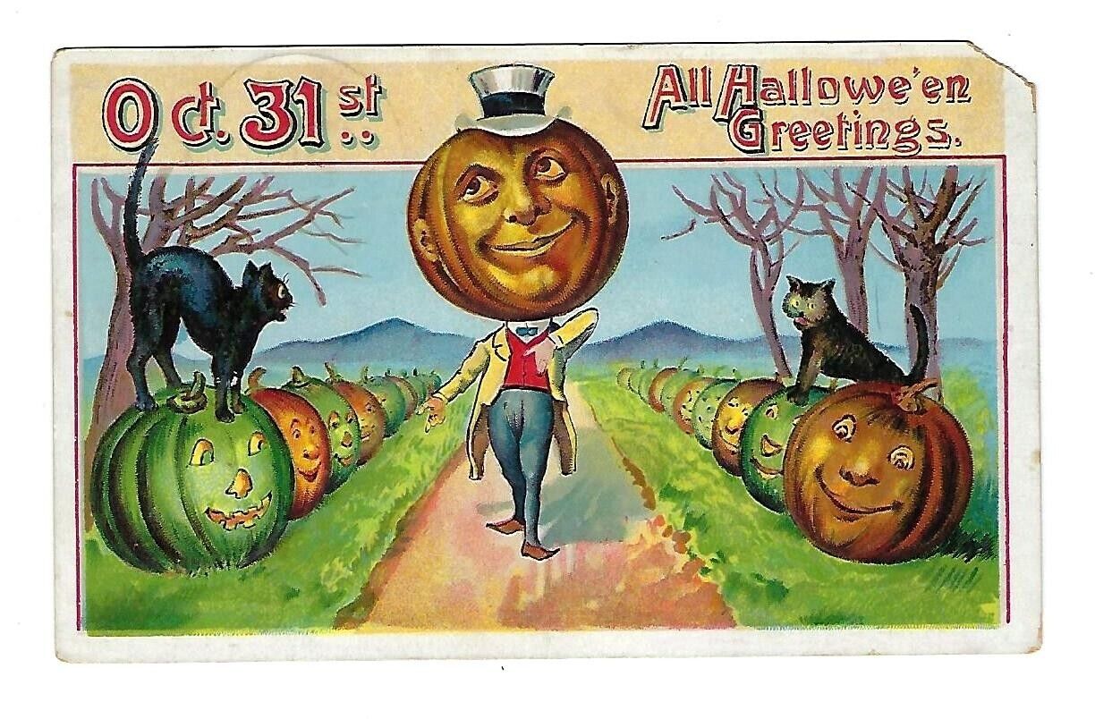 1909 Halloween Postcard Pumpkin Head Arounf JOL\'s Black Cats Embossed