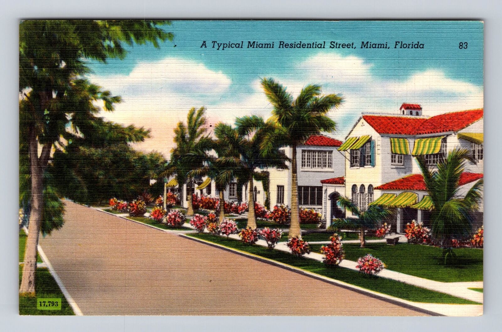 Miami FL-Florida, A Typical Miami Residential Street, Antique, Vintage Postcard