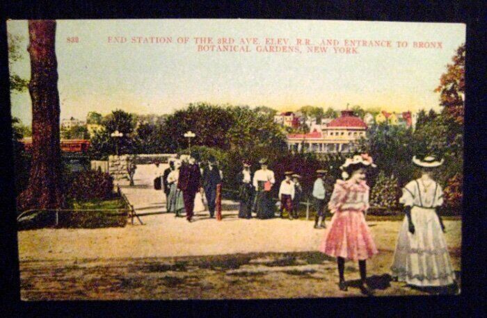 Vintage Postcard, \