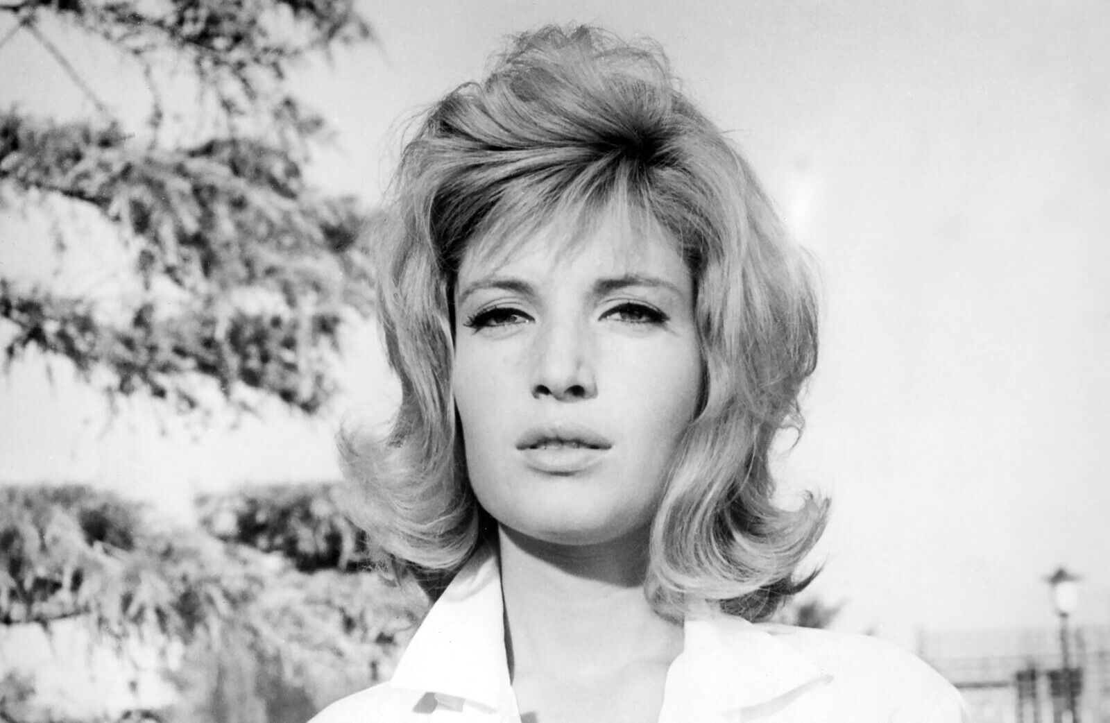 MONICA VITTI Classic 1960s Italian Actress Publicity Picture Photo 8\