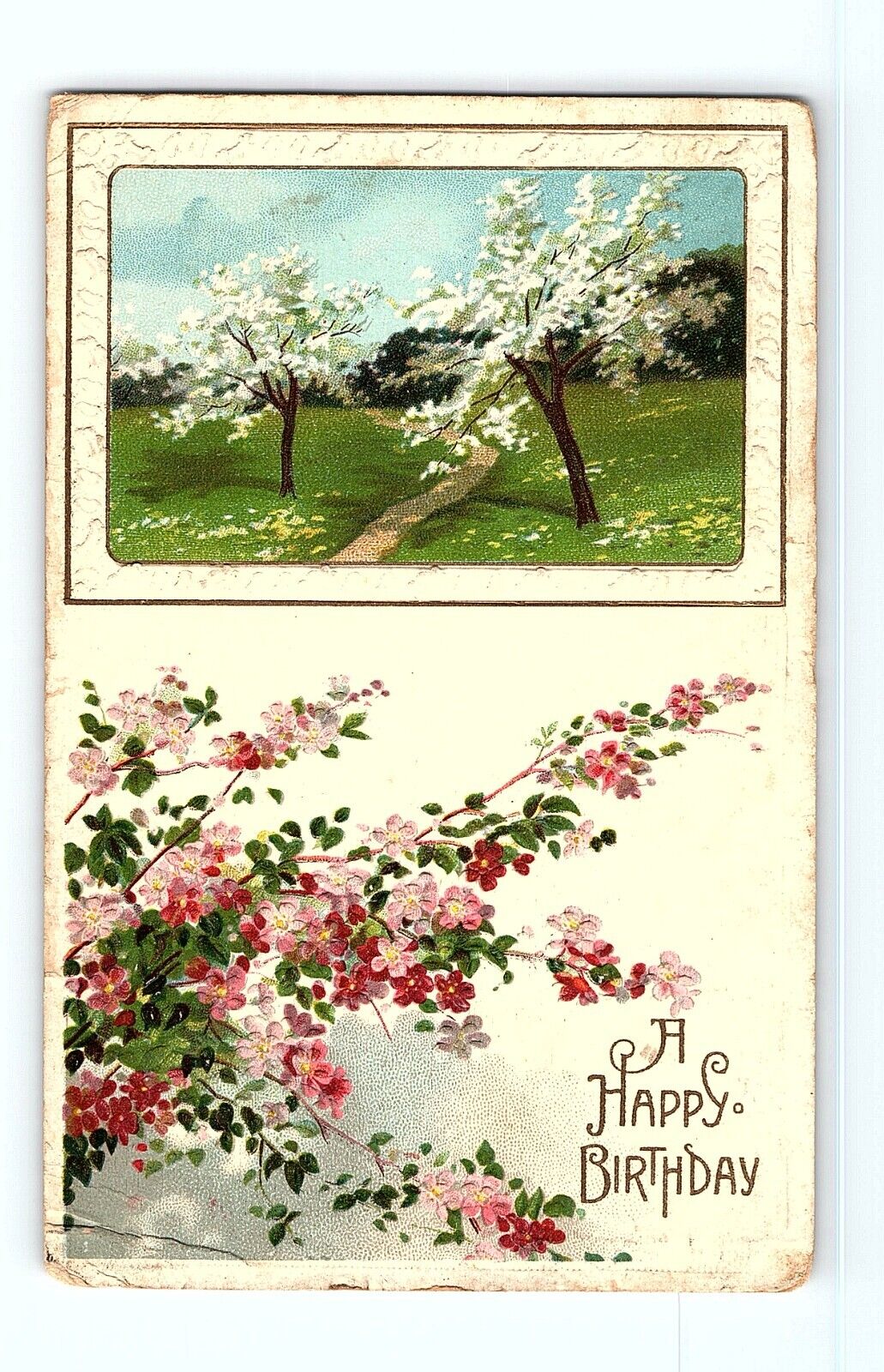 A Happy Birthday Greeting Card Floral Trees Design Vintage Postcard