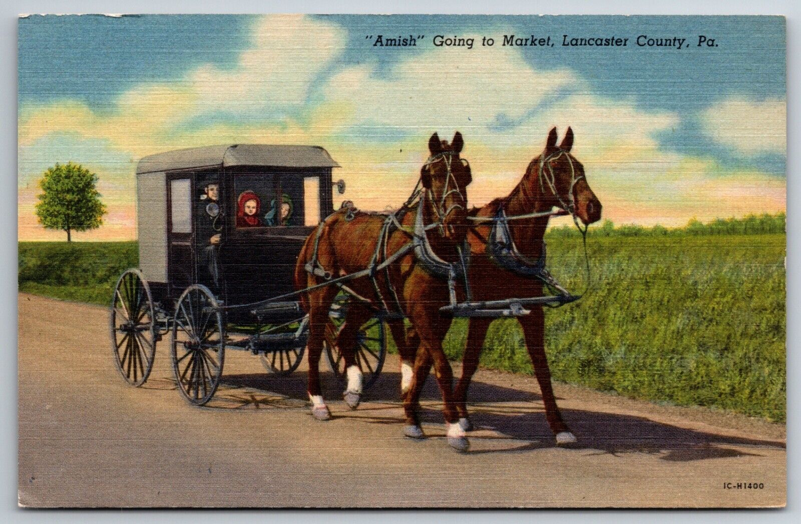 Vintage Postcard Amish Going to Market Horse & Buggy Lancaster County PA Linen