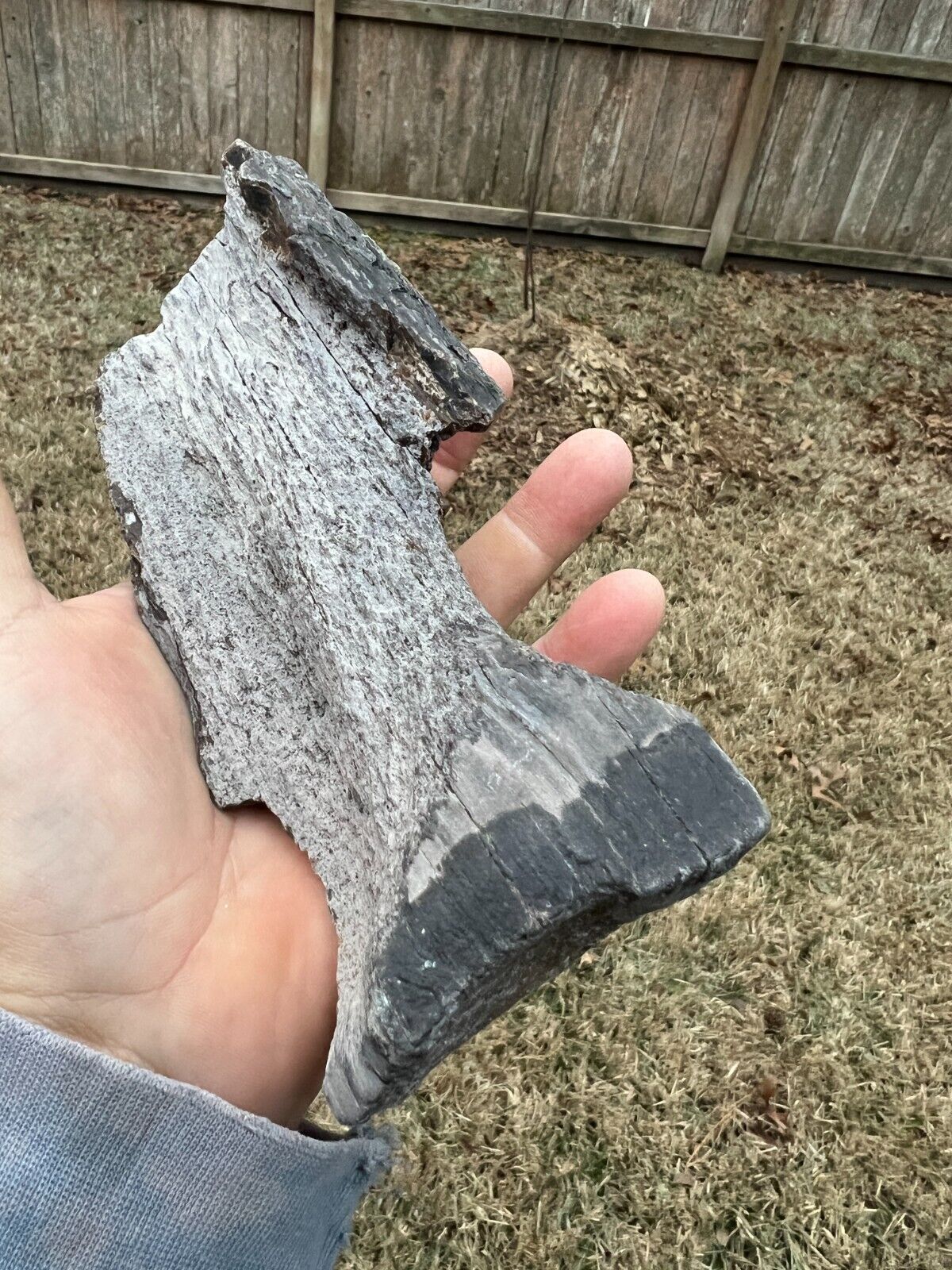Texas Petrified Oak Wood Agatized Detailed Rotted Branch Piece Manning Formation