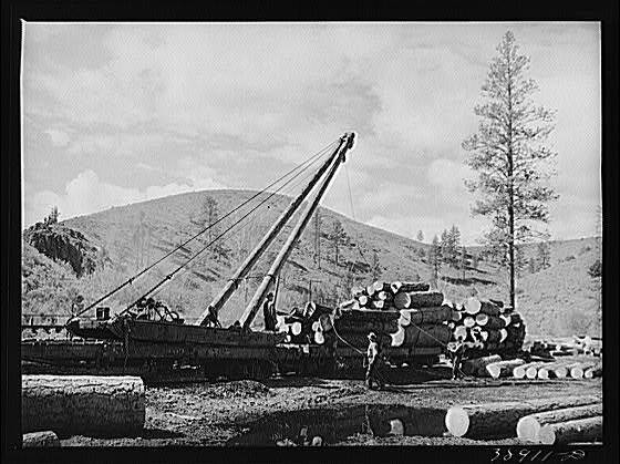 Logging Camp,Baker County,Oregon,OR,Farm Security Administration,1941,FSA,1
