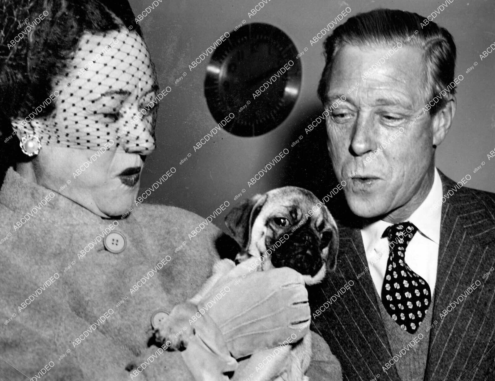 crp-68131 1951 Duke and Duchess of Windsor w their pug dog Disraeli crp-68131