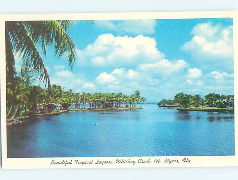 Pre-1980 NATURE SCENE Fort Myers Florida FL AD3885