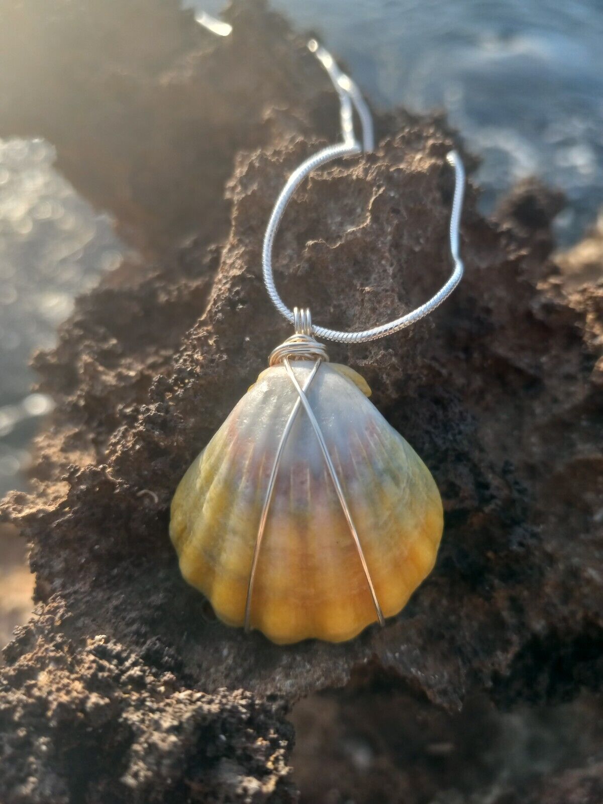 Sunrise Shell Necklace with Sterling Silver necklace