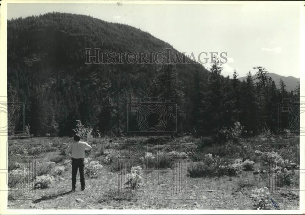 1989 Press Photo Visitor looks at proposed Early Winters ski area in Washington