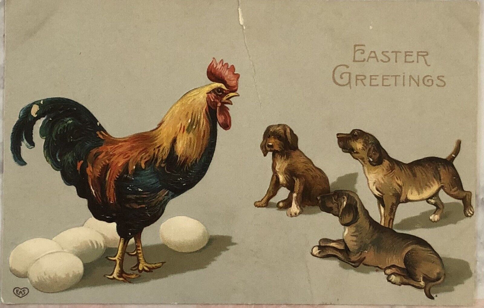 Postcard Vintage Easter Greetings  Rooster Eggs And Puppies. 1909 One Cent Stamp