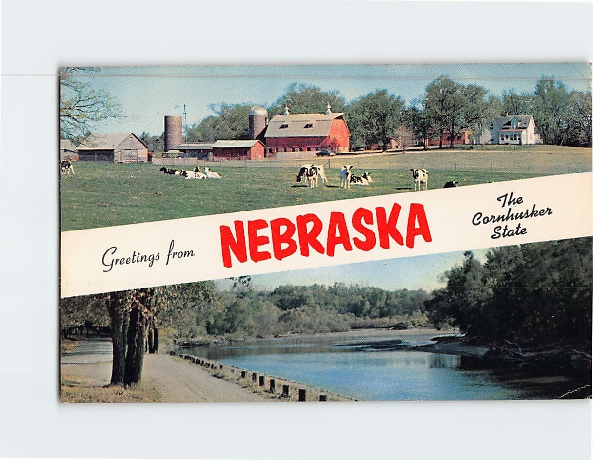 Postcard Greetings from The Cornhusker State Nebraska USA