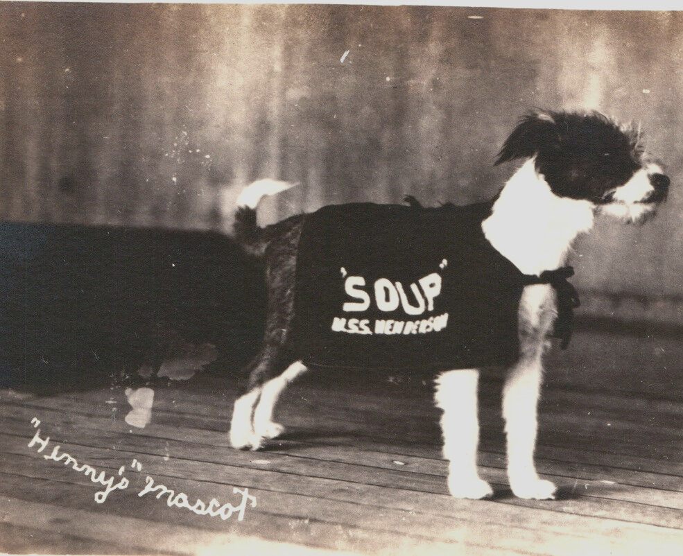 USS Henderson Navy Ship Mascot Dog Terrier WWI AP-1 RPPC Postcard