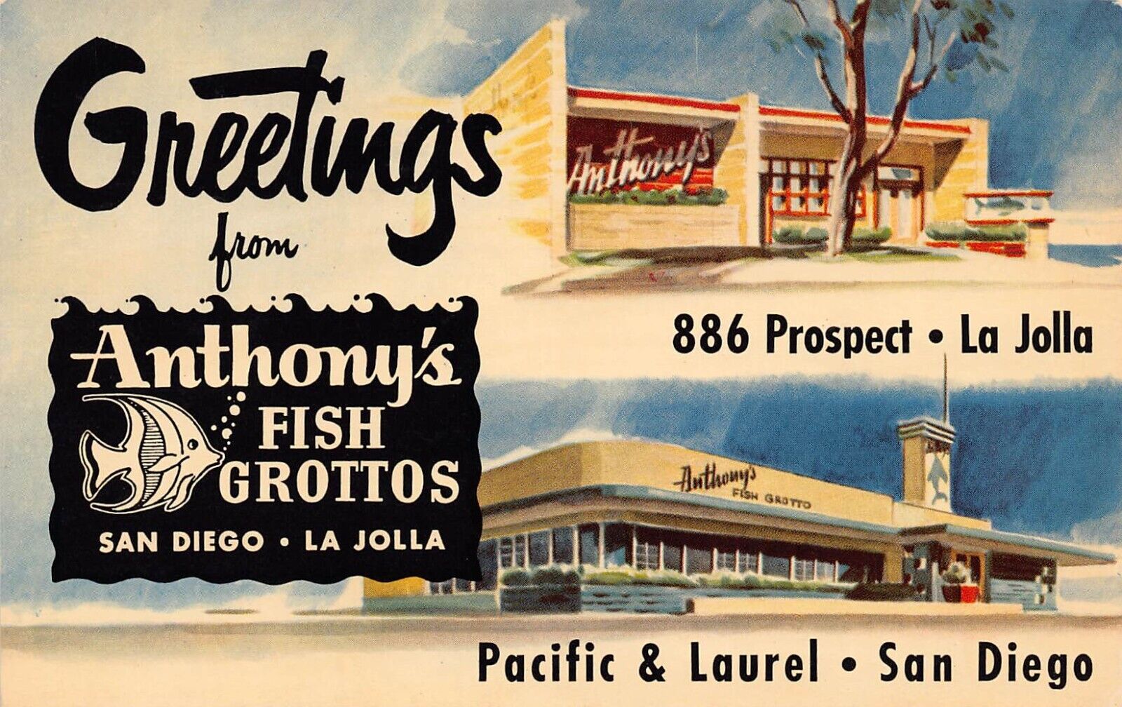La Jolla San Diego Greetings From Anthony’s Fish Grottos Larger Not Large Letter