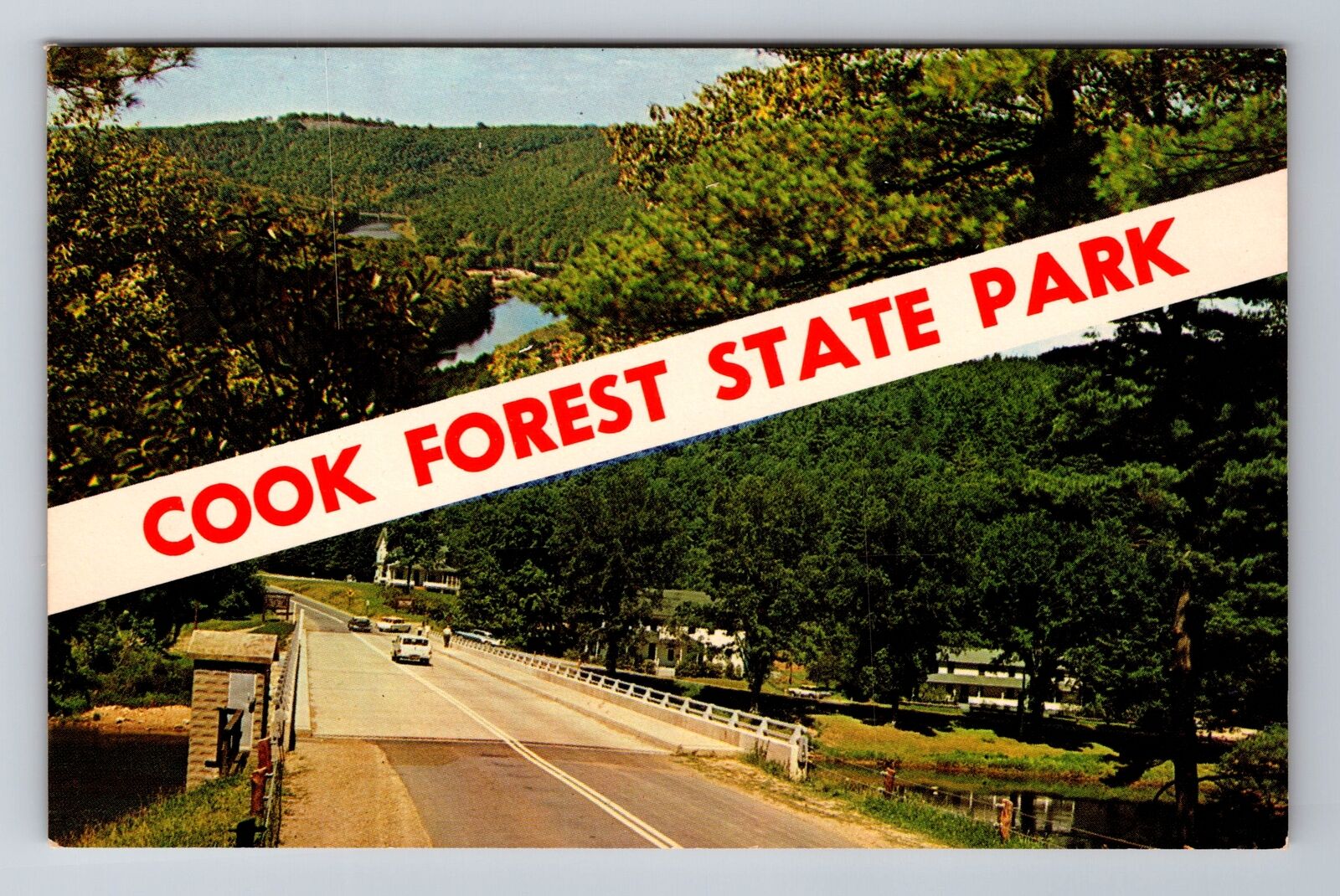 PA-Pennsylvania, Cook Forest State Park, Antique Vintage Souvenir Postcard