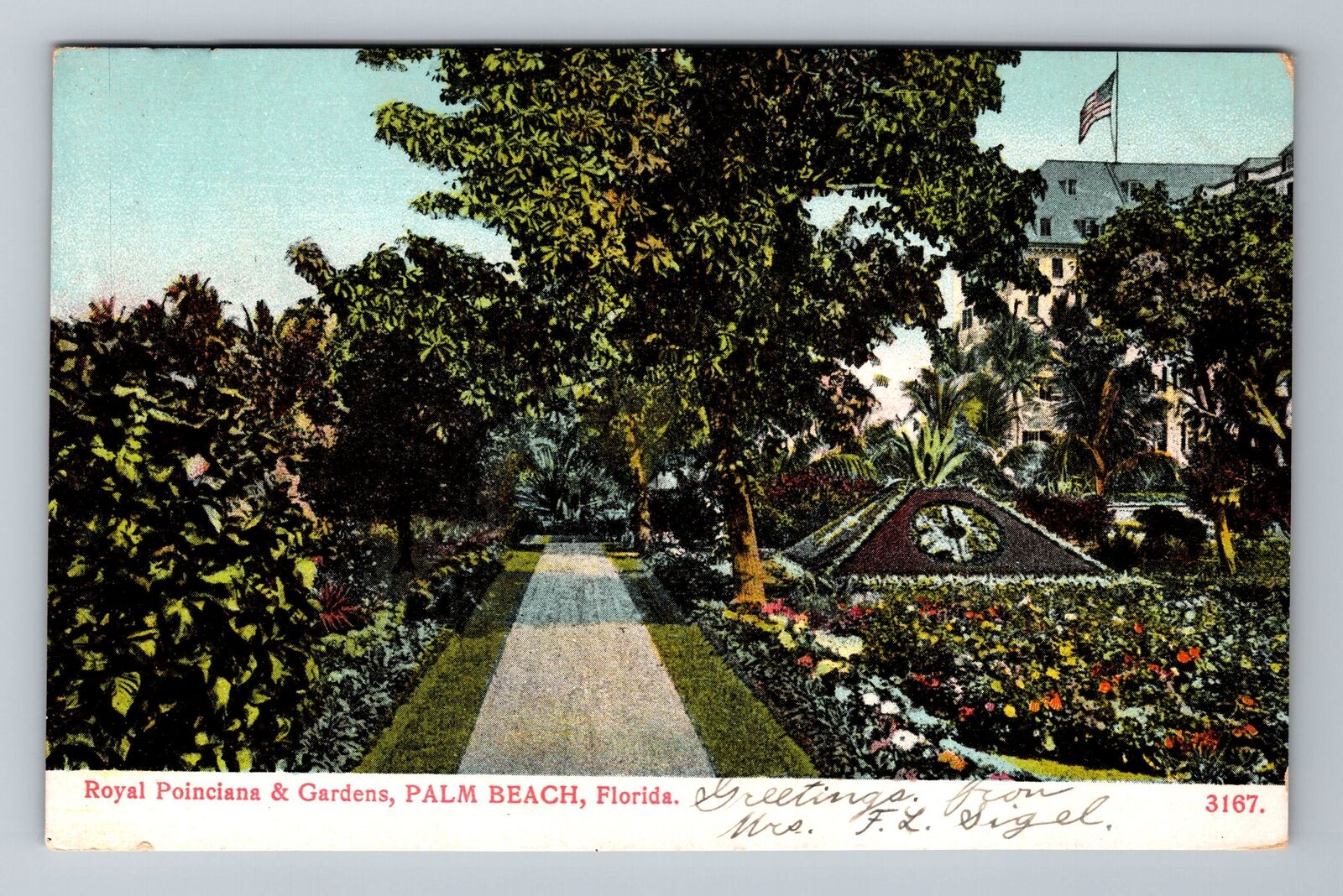 Palm Beach FL-Florida, Royal Poinciana & Gardens, c1908, Vintage Postcard