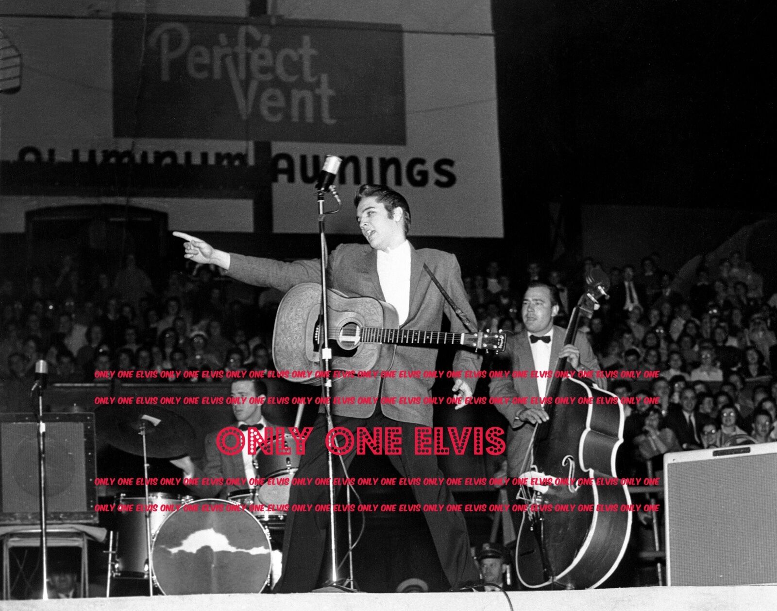 ELVIS PRESLEY Live in LOUISVILLE Kentucky November 25 1956 Photo in Concert 02