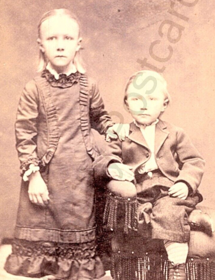 Antique 1800\'s CDV Photo Victorian Children Studio Portrait 