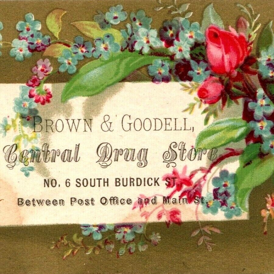 c1870s Kalamazoo MI Brown Goodell Central Drug Store South Burdick Trade Card C8