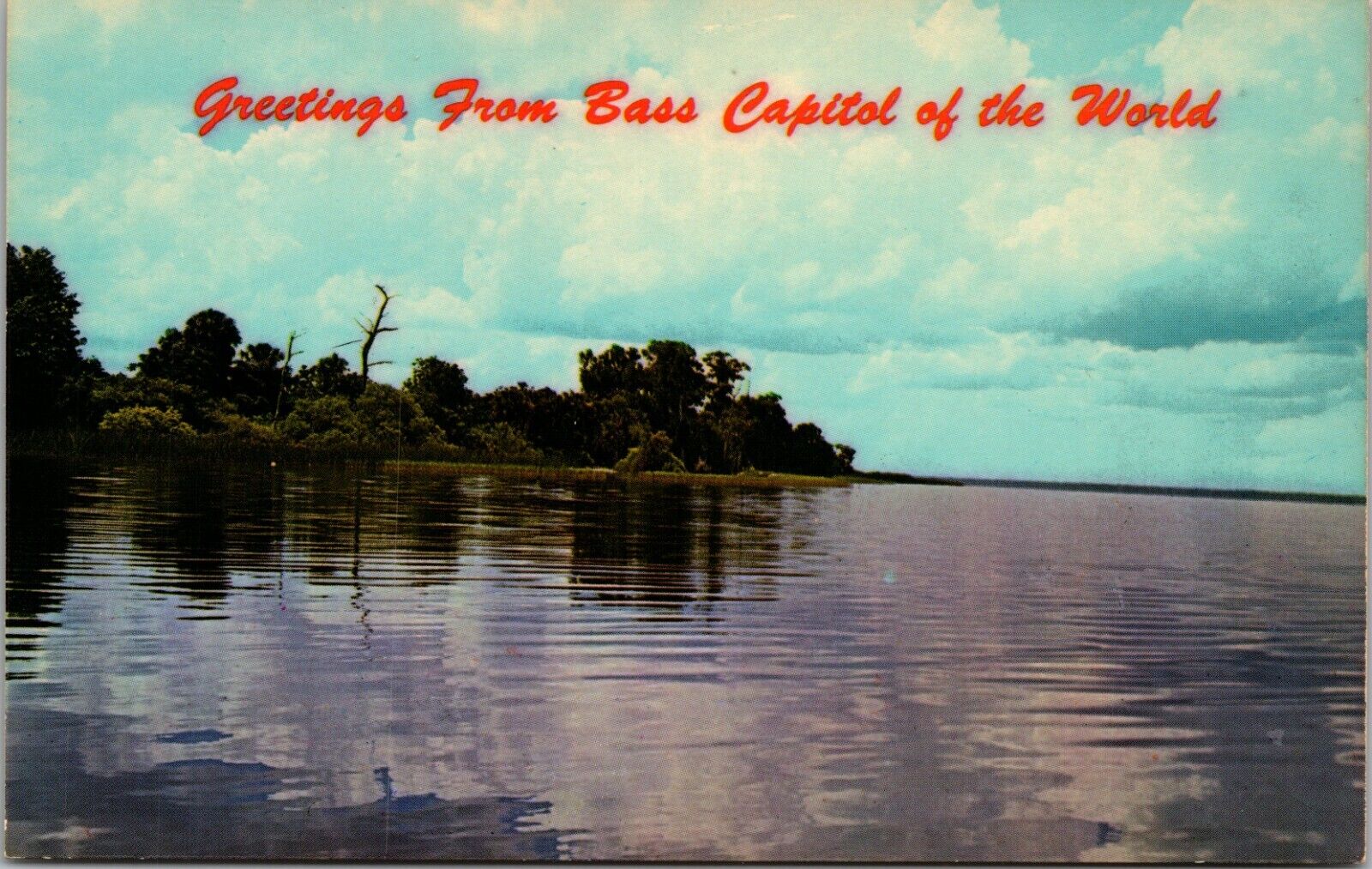 Greetings from Bass Capitol of the world FLORIDA CHROME POSTCARD D18