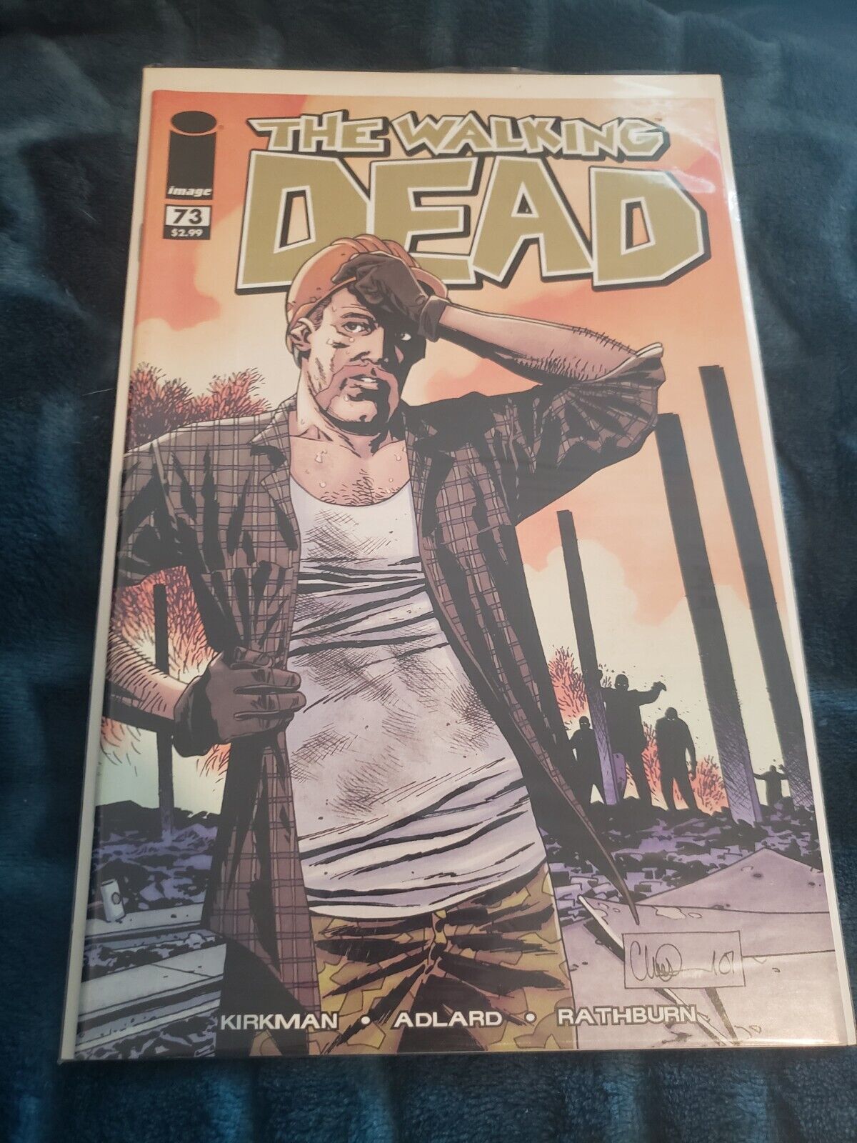 The Walking Dead Issue 73-74 Comic Book Lot