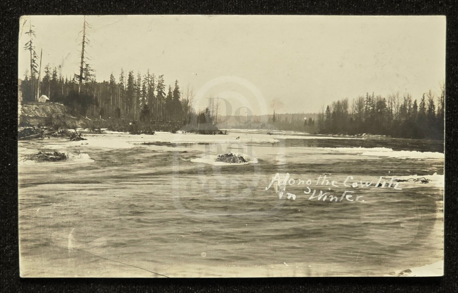 Scarce RPPC Cowlitz River. Castle Rock, Washington. C 1908 Cowlitz County 