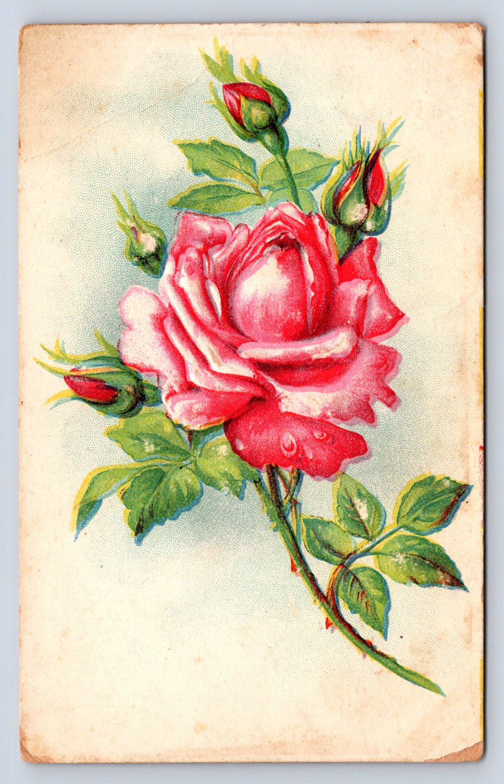 Vintage Postcard 1900s Floral