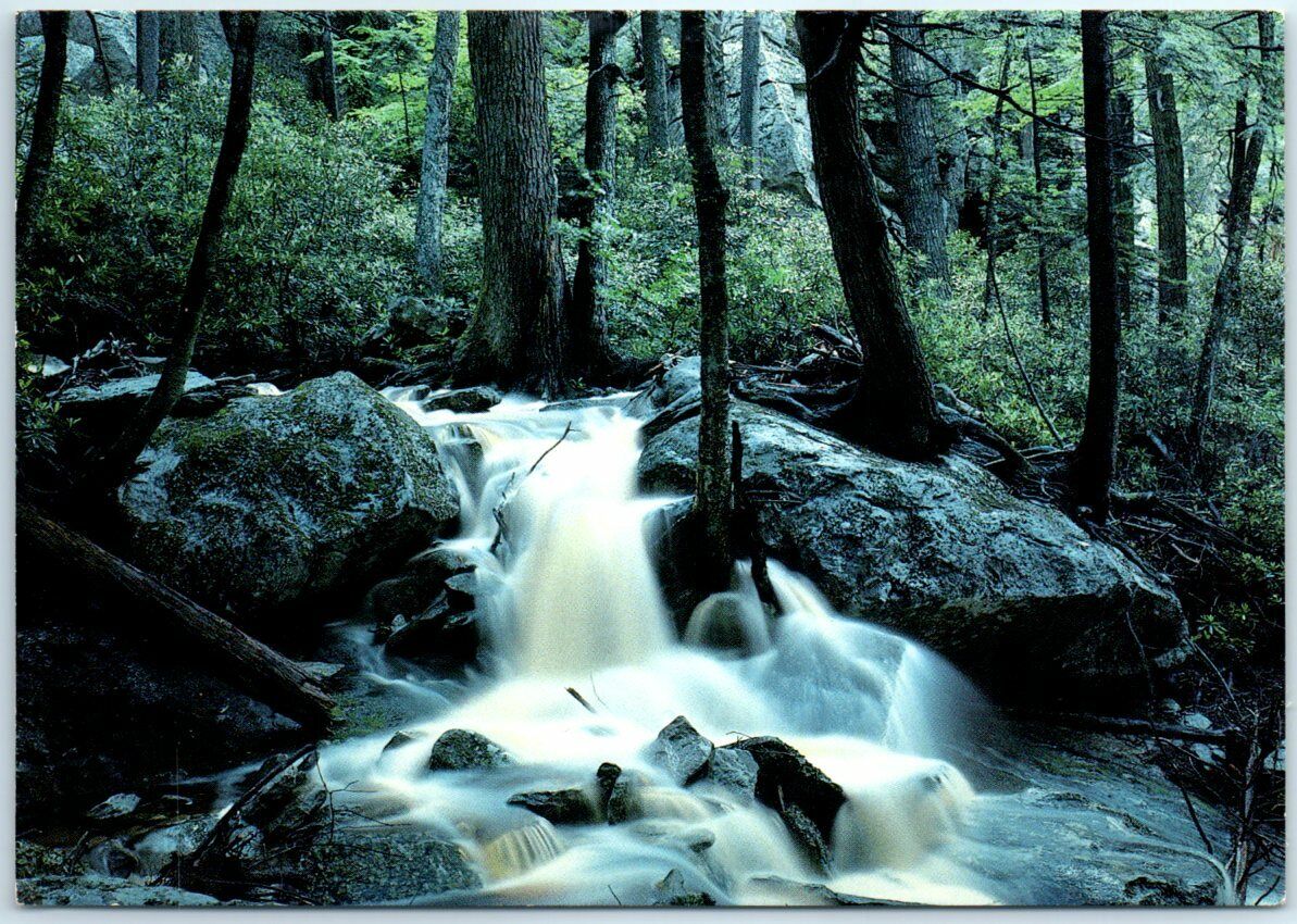 Mountain Stream In Forest - Blue Ridge Parkway - Western North Carolina