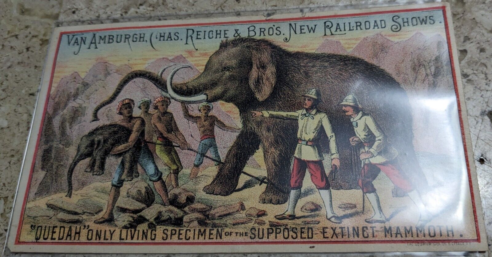 *RARE* VICTORIAN TRADE CARD ELEPHANTS  QUEDAH RAILROAD VAN AMBURGH  CIRCUS SHOWS