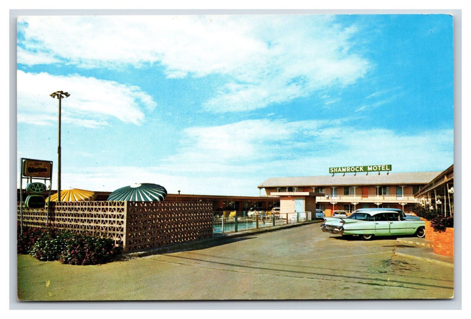 Shamrock Motel Parking Lot Dallas Texas TX UNP Chrome Postcard U5