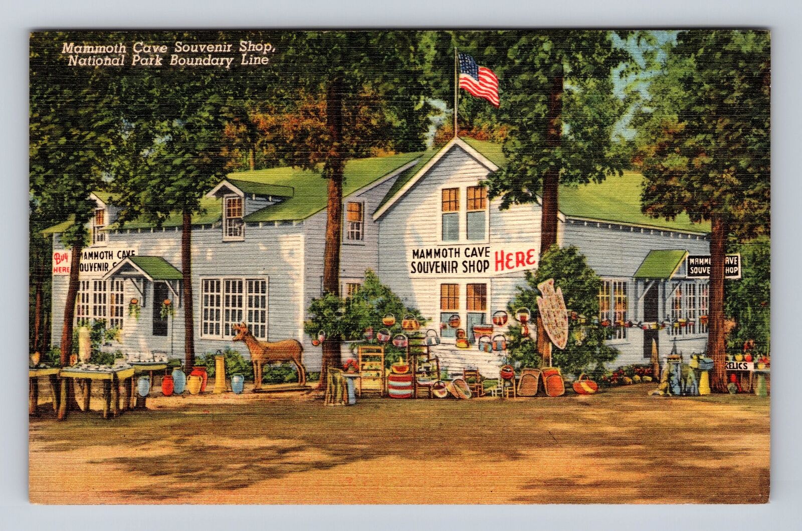 Mammoth Cave KY- Kentucky, Mammoth Cave Souvenir Shop, Antique, Vintage Postcard
