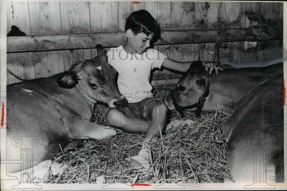 1989 Press Photo Kevin Freeman with Calves in Barn - nee39965