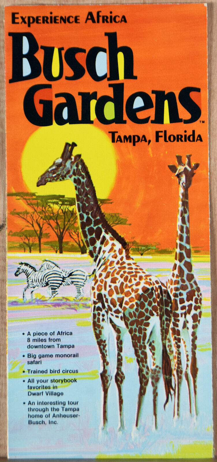 1970s Pamphlet Busch Gardens Africa in Tampa FL Monorail Safari Bird Circus