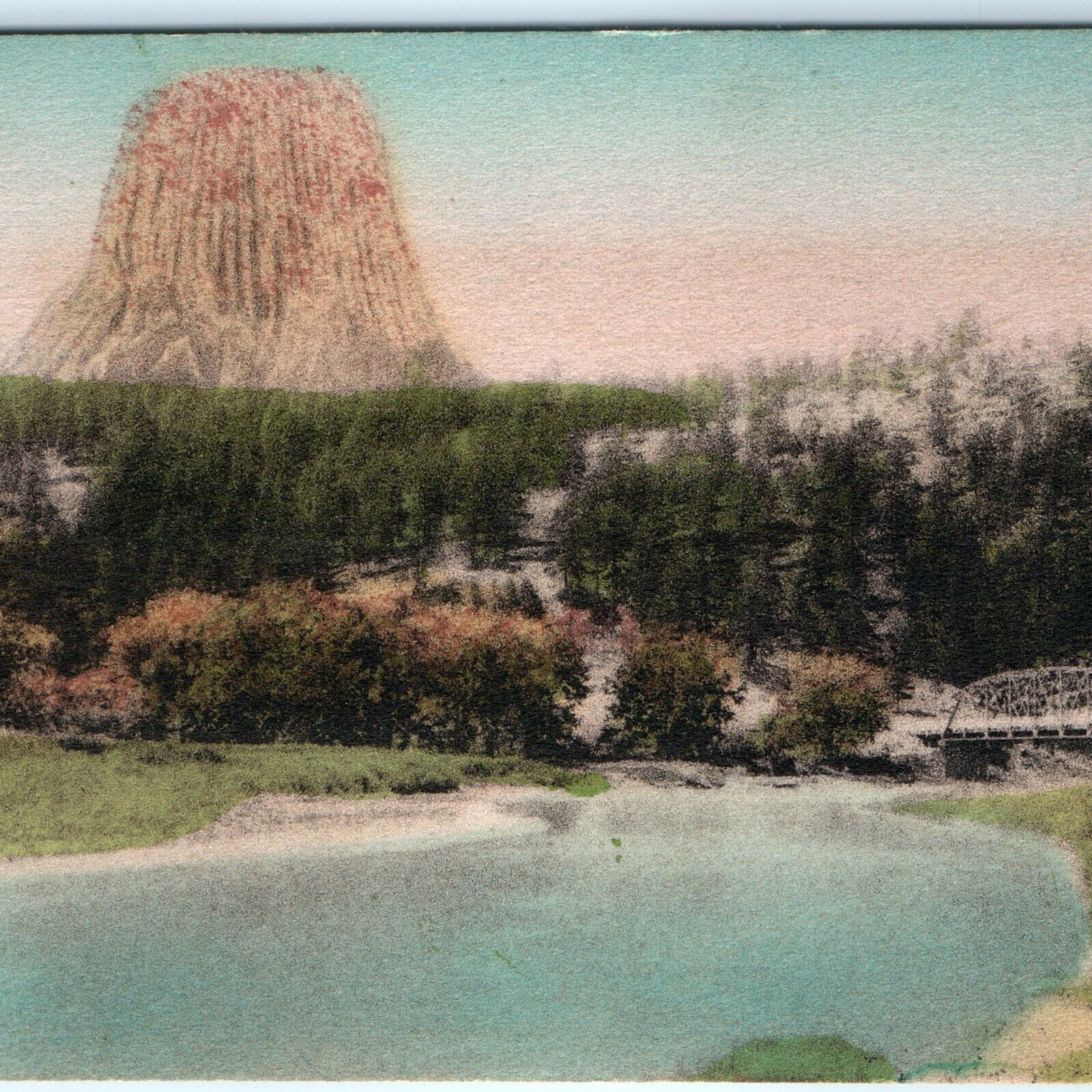 c1910s Devils Tower, WY Hand Colored Ancient Tree Stump Albertype Postcard A119
