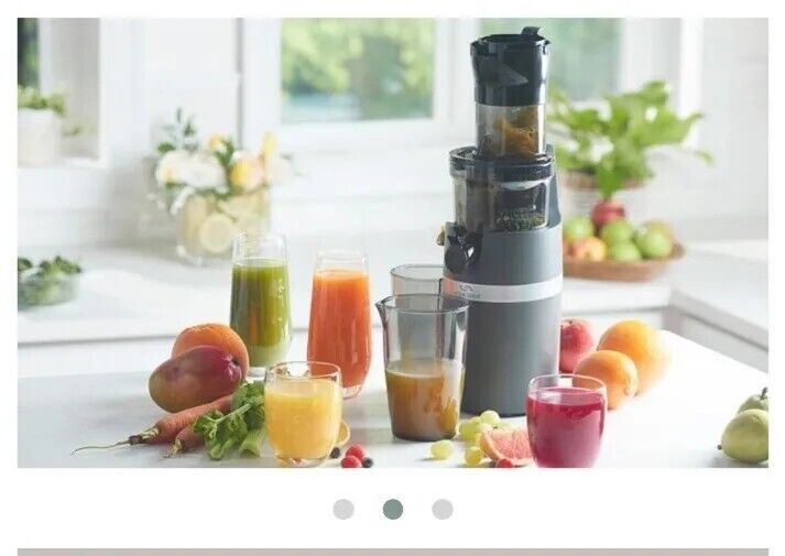Juice Extractor from Princess House