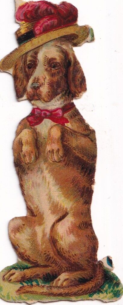Antique Victorian Edwardian Die Cut Scrap - Dog Wearing Hat 3.5 inches