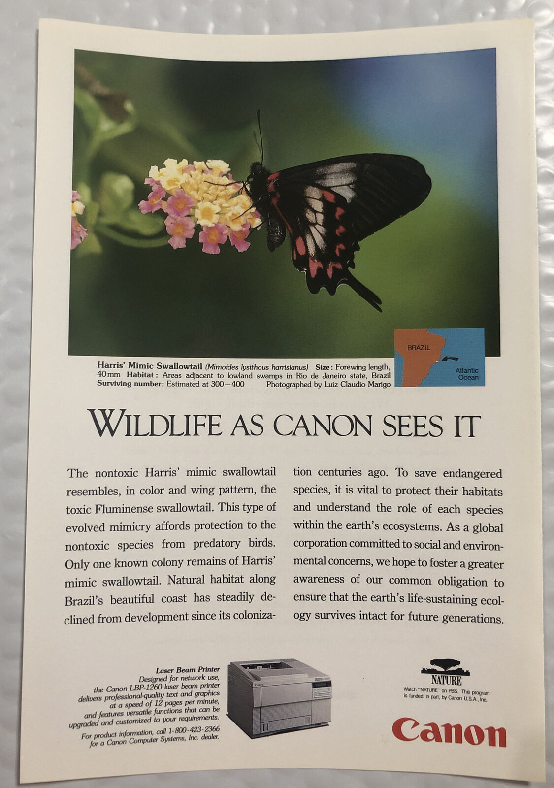 Vintage 1995 Original Print Ad Full Page - Canon - Harris Mimic Swallowtail