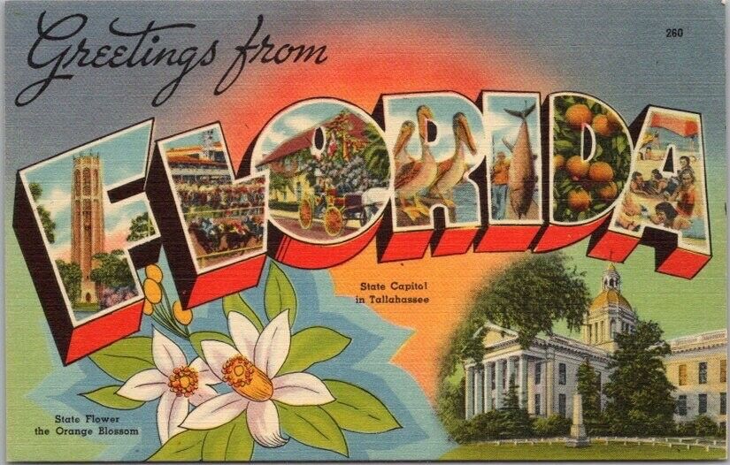 1940s FLORIDA Large Letter LINEN Postcard State Capitol & Orange Blossom Flower