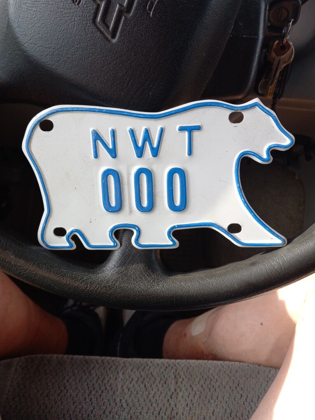 Northwest Territories Canada Polar Bear 000 Sample License Plate