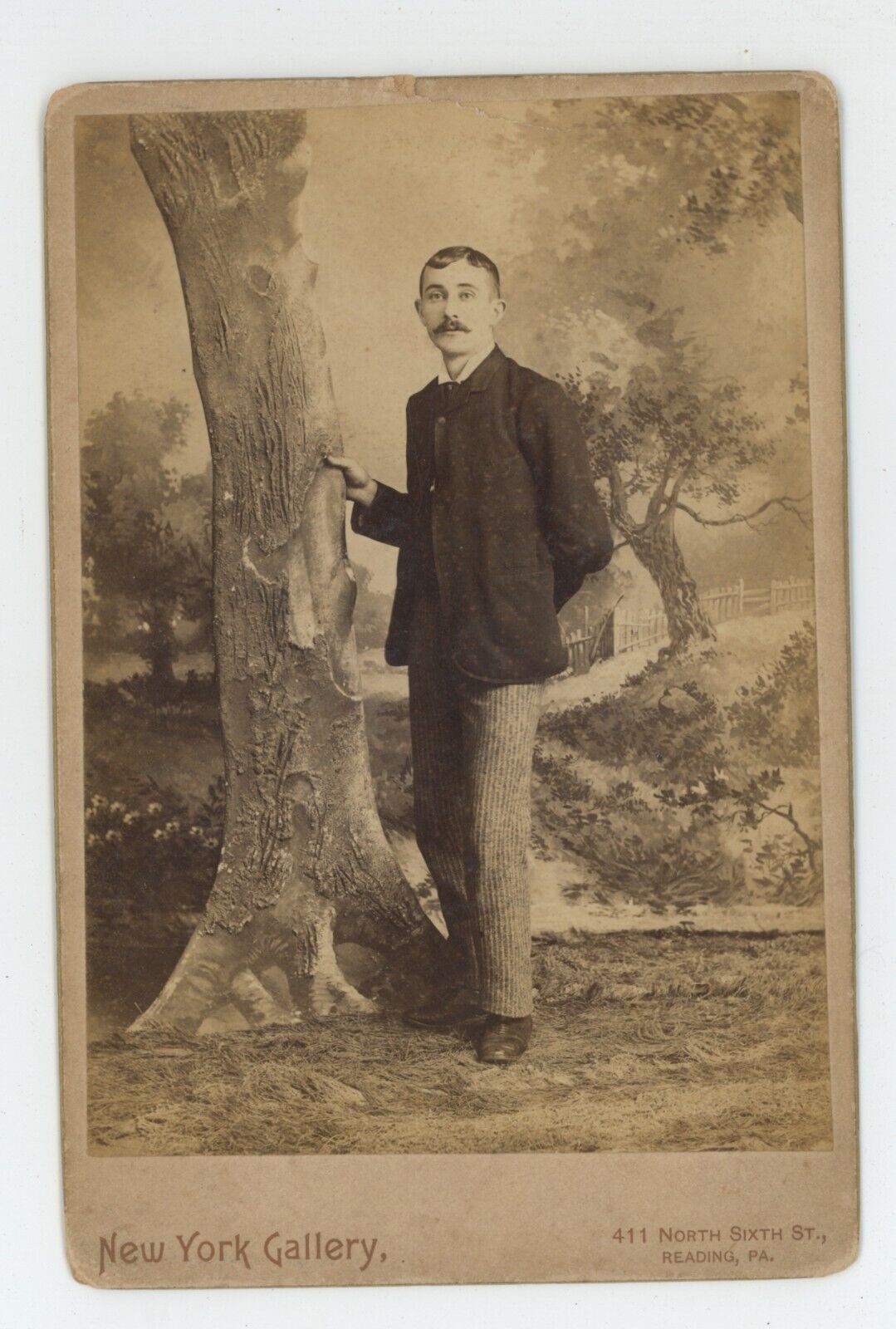 Antique Circa 1880s Cabinet Card Handsome Man Mustache By Fake Tree Reading, PA