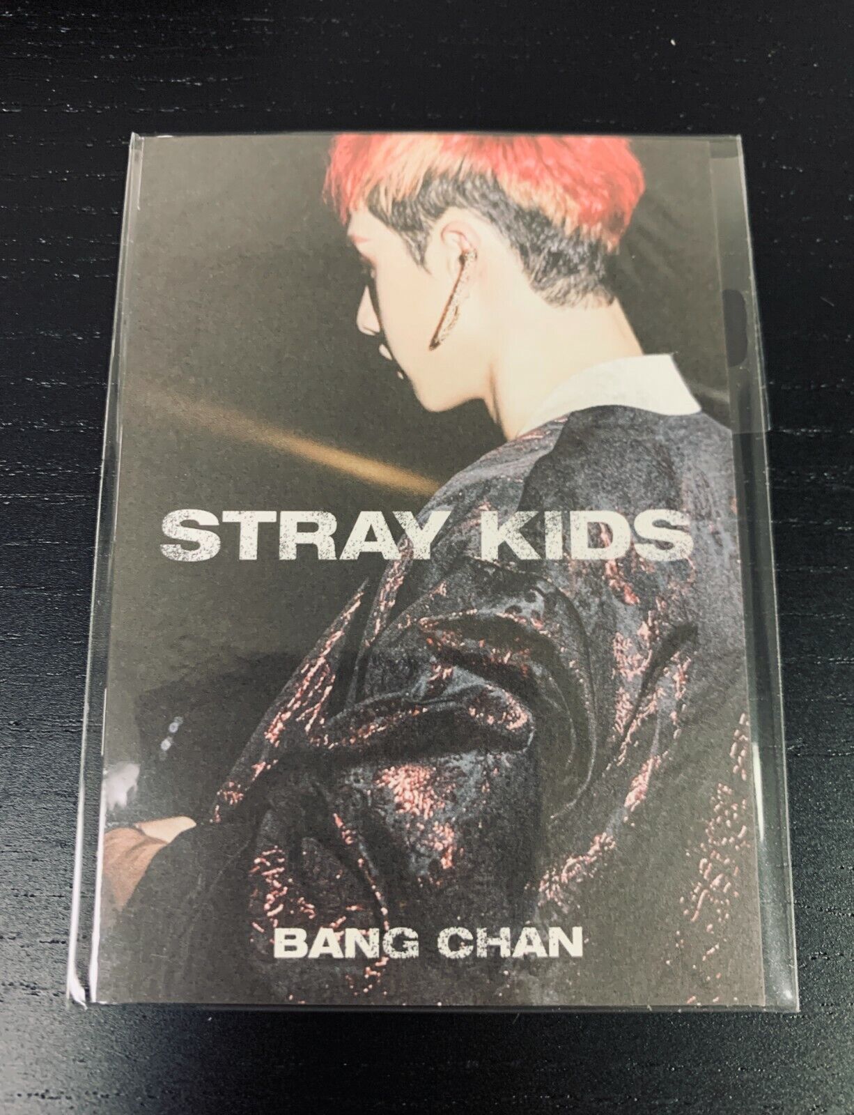 [New & Sealed] Stray Kids In生 In Life Preorder Mini Photobook