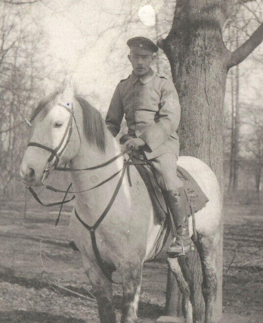WWI German Soldier Cavalry Mounted Photo Postcard RPPC Schutztruppe 