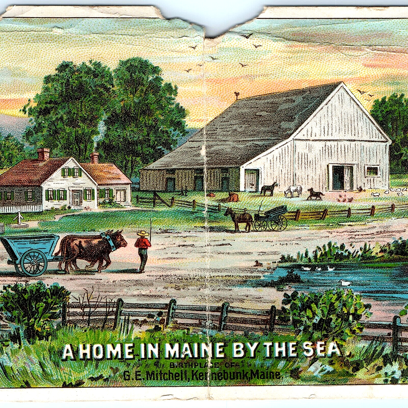 c1880s Kennebunk, ME Mitchell\'s Drug Plasters Trade Card Quack Beacon Lith 5R