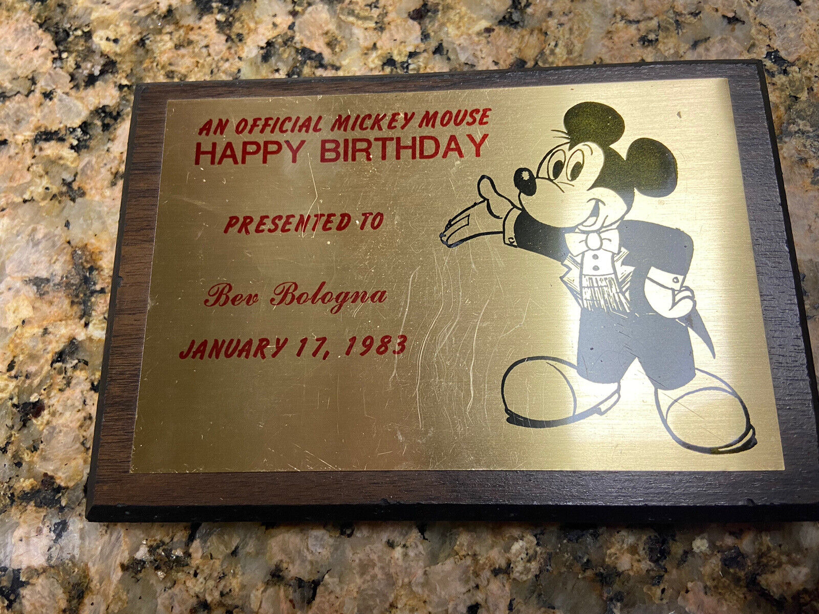 Vintage 1983 Official Mickey Mouse Birthday Personalized Wall Plaque Rare
