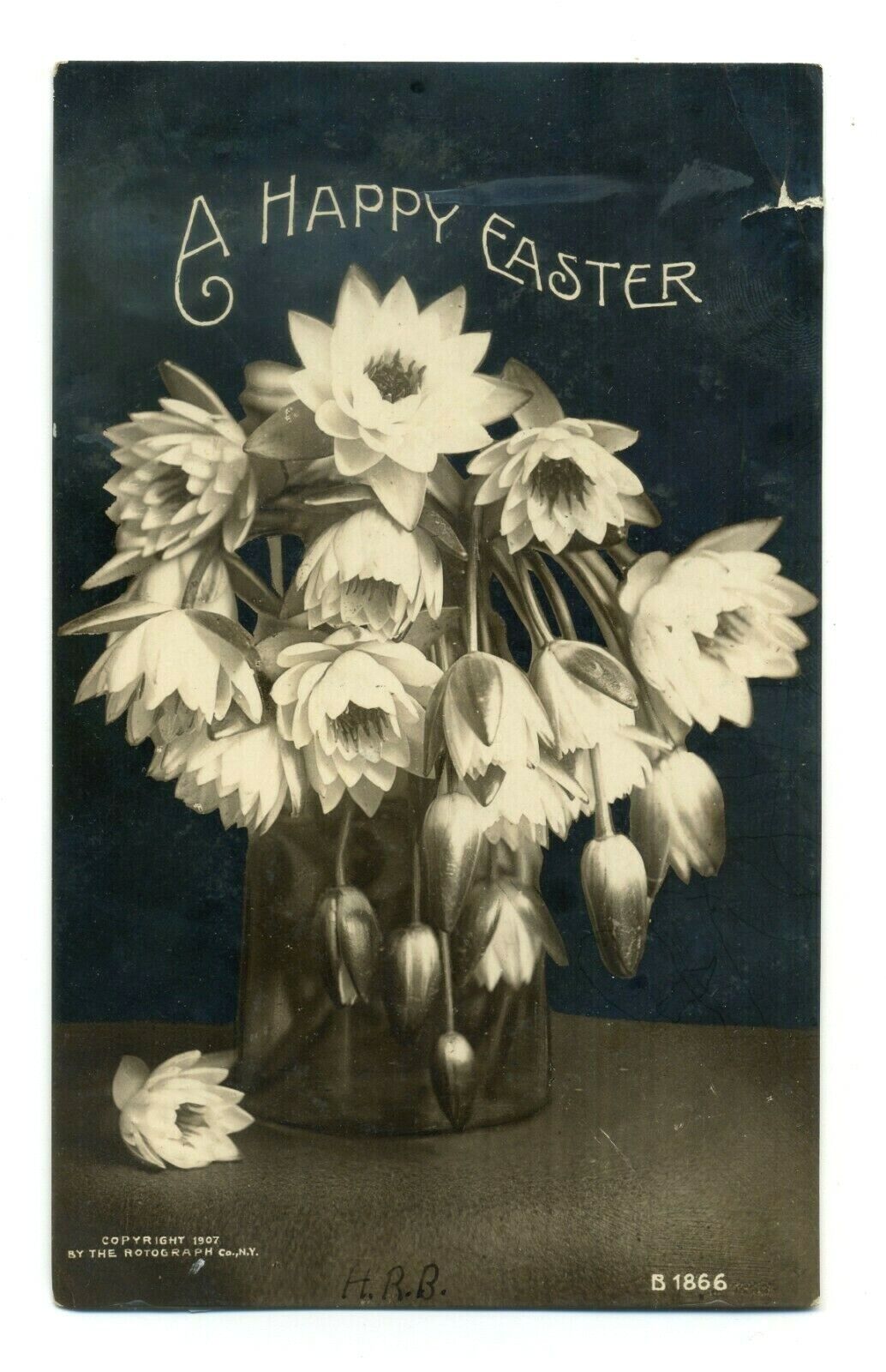 VERY RARE EASTER Bromide Paper Print Photograph Antique 1907 POSTCARD Rotograph 